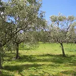 Bed and Breakfast Capodarco 4*