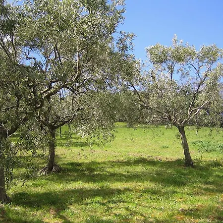 Panzió Capodarco 4*