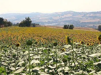 Capodarco Oda ve Kahvaltı 4*