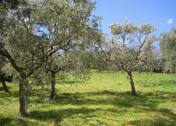 Oda ve Kahvaltı Capodarco 4*